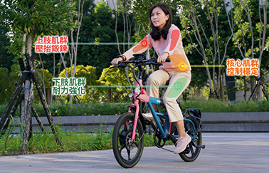 騎乘安耐美雙功能打浪電輔自行車-城市車款，有助於鍛鍊全身肌群