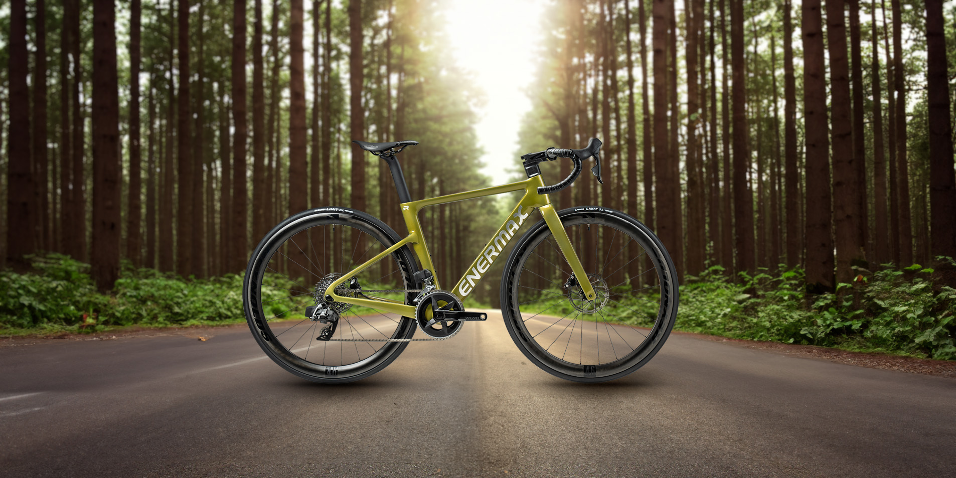 ENEREX 安銳-經典版 專業碳纖公路競賽用自行車在森林公路